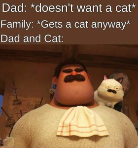 Stupid Bar Memes fxOuUMI
