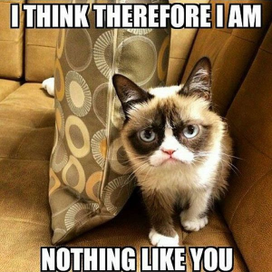 Stupid Bar Memes grumpyscatsmemes032