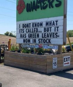 Stupid Bar Memes hilarioussuselesssunsuccessfulsunpopularssignages64be3e328d78bss700