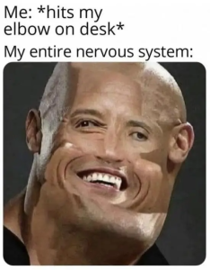 Stupid Bar Memes jRS88yO