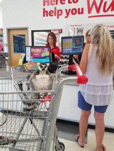 Stupid Bar Memes morningspicss3833s640shighs09