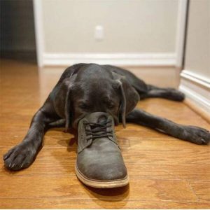 Stupid Bar Memes morningspicss3834s640s50