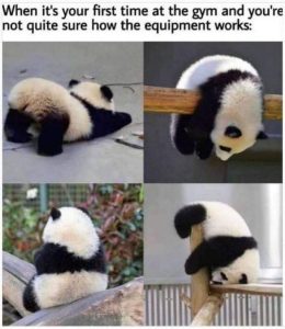 Stupid Bar Memes pY2AeYl
