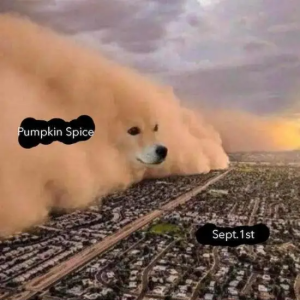 Stupid Bar Memes unAEoPB