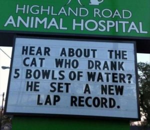 Stupid Bar Memes vetssignss8