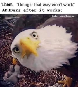 Stupid Bar Memes wfdGnV4