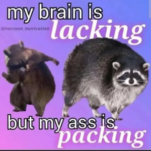 Stupid Bar Memes yUjZJcU e1692062914201