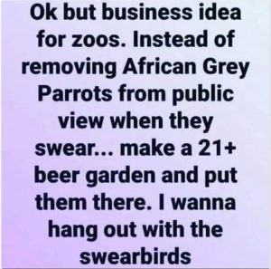 Stupid Bar Memes youreswantingstosseesthesbirds