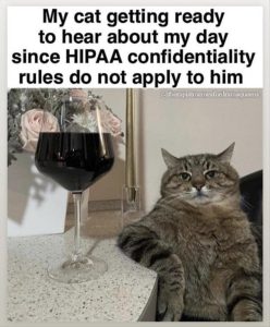 Stupid Bar Memes yoursrules