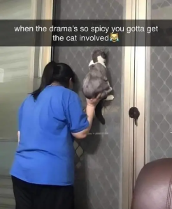 Stupid Bar Memes zQpXJYR