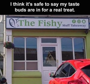 Stupid Bar Memes zsfuns217