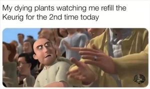 Stupid Bar Memes zsmemerss21s1