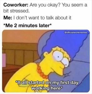 Stupid Bar Memes zsmemes65