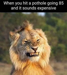 Stupid Bar Memes zsmemess3s1