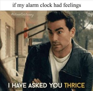Stupid Bar Memes zsmemess66s1