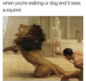 Stupid Bar Memes 00f0fde5e4ef7384