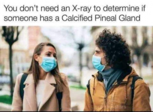 Stupid Bar Memes 042c92fc79c14b4b