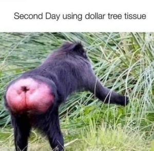 Stupid Bar Memes 09e7b681c5d4c956