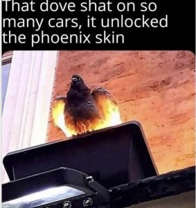 Stupid Bar Memes 0b88e027037d531d