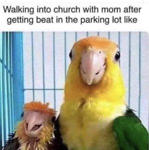 Stupid Bar Memes 0de9a6fafc115b10