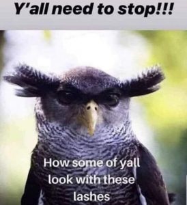 Stupid Bar Memes 0ff0200cf1e3b729