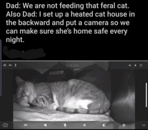 Stupid Bar Memes 11d3406cf3d7901f