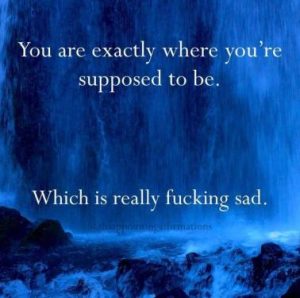 Stupid Bar Memes 11ebfde56e49bcaa