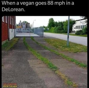 Stupid Bar Memes 167295386557f720