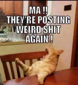 Stupid Bar Memes 23e04fde48b3fd9e