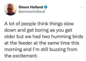 Stupid Bar Memes 247be0f95b8448fe