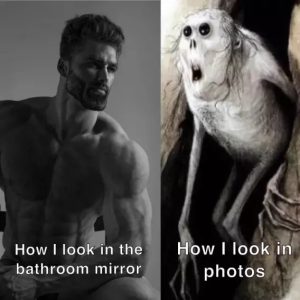 Stupid Bar Memes 2a0b6024dac7a74