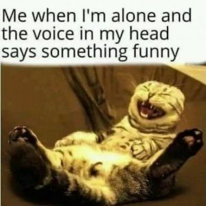 Stupid Bar Memes 2e6a24195e44664f