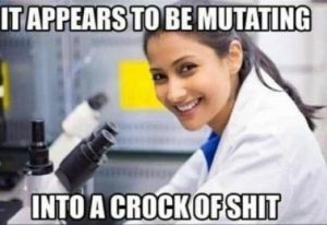 Stupid Bar Memes 2f82702c052f6de8