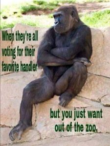 Stupid Bar Memes 30a43f02e61fadef