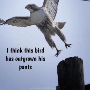 Stupid Bar Memes 31abf98d21c1fb9e