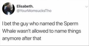 Stupid Bar Memes 33bbcb3c56604ffe