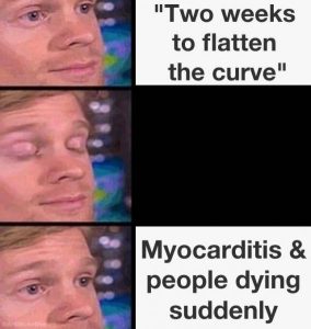 Stupid Bar Memes 33ecf204548dface