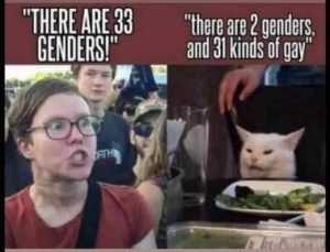 Stupid Bar Memes 35bfb7958f768a5f