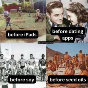 Stupid Bar Memes 37ec967285e0281c