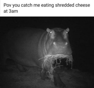 Stupid Bar Memes 383a882242b875b0
