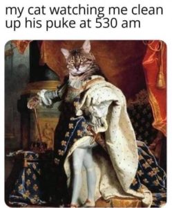 Stupid Bar Memes 3aa701f70de74f52