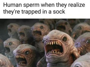 Stupid Bar Memes 3c8bc45e03e65ea5