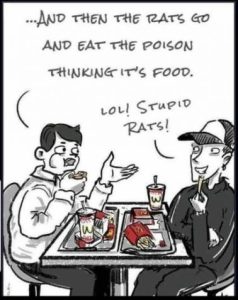 Stupid Bar Memes 3cd55e5f906fb449