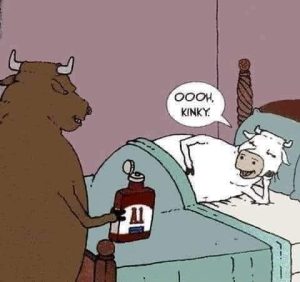 Stupid Bar Memes 3e148289c55bea9b