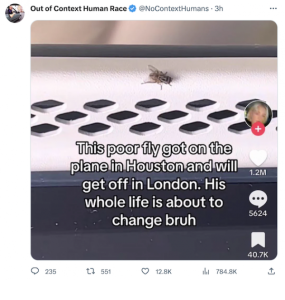 Stupid Bar Memes 3tweets5