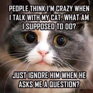 Stupid Bar Memes 414092c8a4a42a75