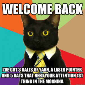 Stupid Bar Memes 41e8c3d704cd7910
