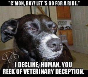 Stupid Bar Memes 4297daaa28cbc022