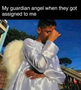 Stupid Bar Memes 4324bb66869d3ce5