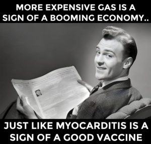 Stupid Bar Memes 4742d4cedfca0204